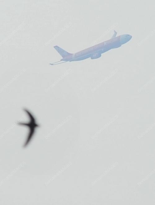 SG14_01082019_JEREBU