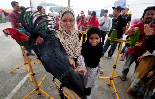 SG14_07092019_AGROFEST_BN201909060267