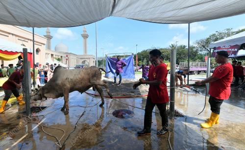 IBADAH KORBAN 1445H