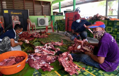 IBADAH KORBAN AIDILADHA