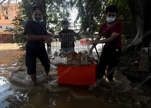BANJIR SELANGOR