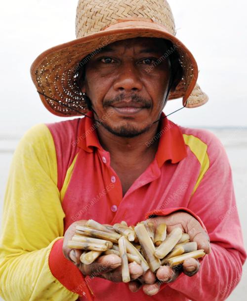 SG14_22092016_SIPUT