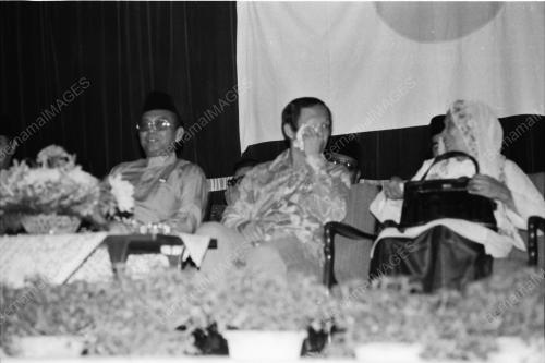 MUSA HITAM
