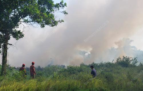 SG14_29072015_TERBAKAR