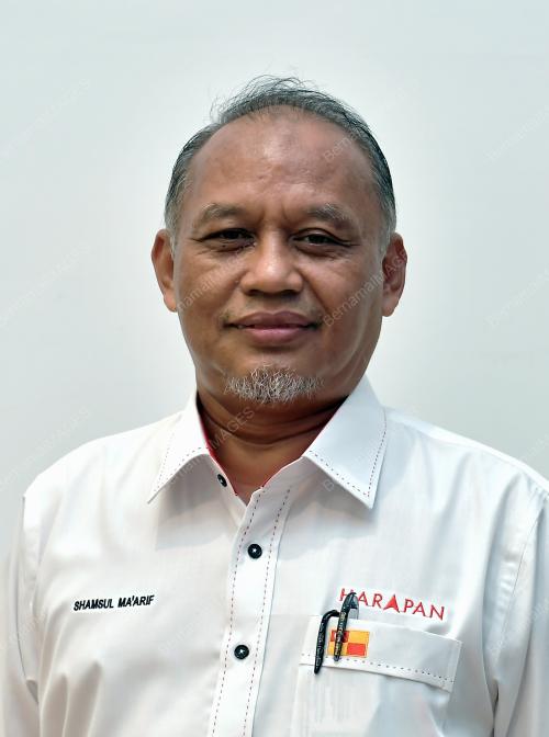 SHAMSUL MAARIF ISMAIL