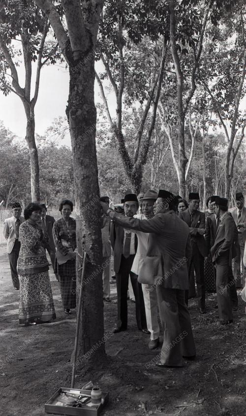 TUANKU JA'AFAR