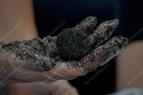PERUBAHAN IKLIM SIKAP MANUSIA CABARAN UTAMA URUS BEKALAN AIR