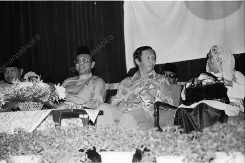 MUSA HITAM