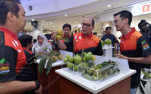 IR IZHAM HASHIM