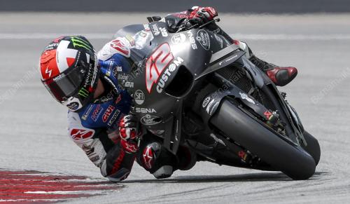 ALEX RINS
