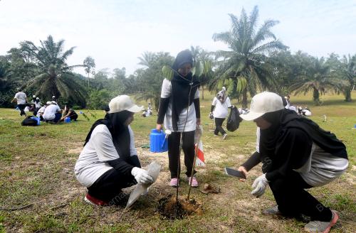 PROGRAM PENGHIJAUAN MALAYSIA