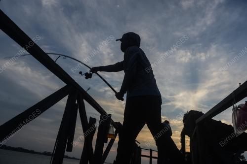 AKTIVITI MEMANCING