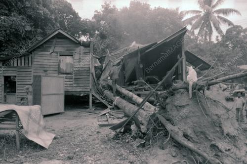 RUMAH DITIMPA POKOK DI KAMPUNG PAYA JARAS