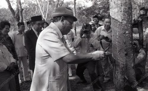 TUANKU JA'AFAR