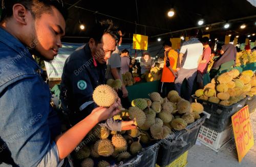 ORANG RAMAI MENIKMATI RAJA BUAH (DURIAN)
