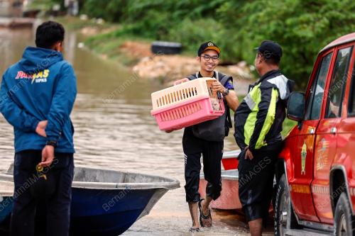 BANJIR DI SAUJANA AMAN