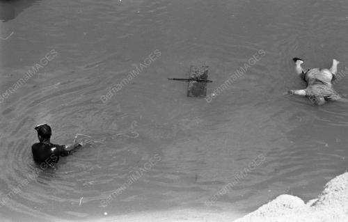 SG19_11081984_BENCANA
