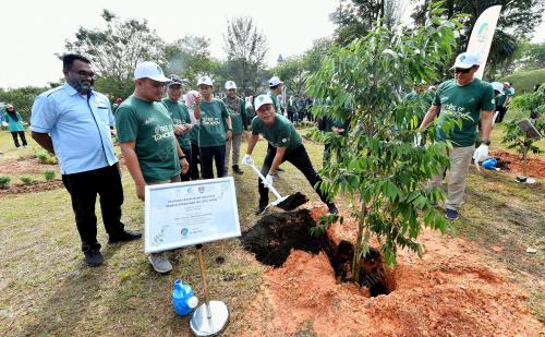 PROGRAM PENGHIJAUAN MALAYSIA