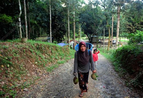 TINJAUAN AKTIVITI PEMILIK DUSUN DURIAN