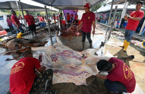 IBADAH KORBAN 1445H