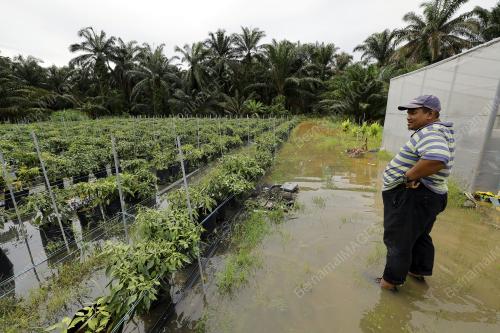 BANJIR DENGKIL