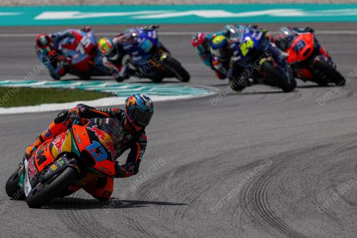 MOTOGP 2024