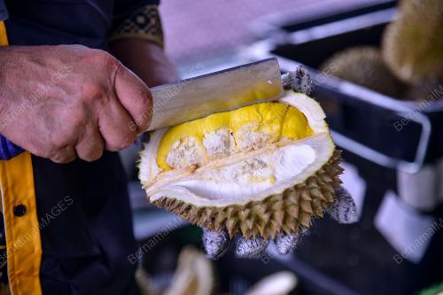 DURIAN