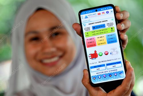 TINJAUAN PROJEK BAWANG ROSE EHSAN PKPS
