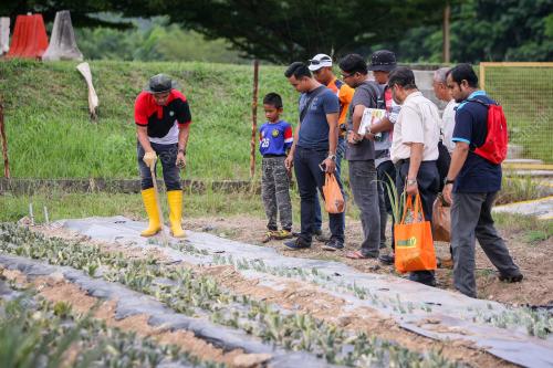 SG22_08122016_TINJAUAN
