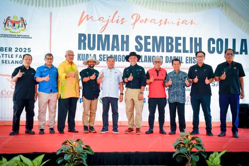 PERASMIAN RUMAH SEMBELIH COLLA