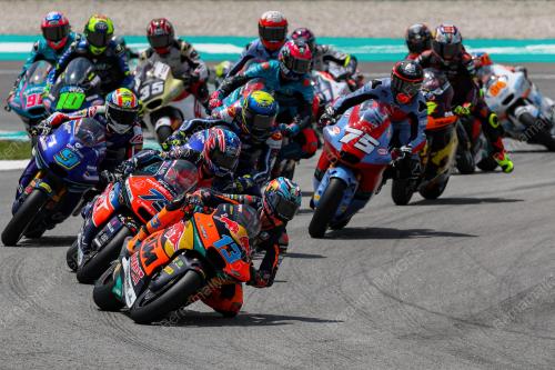 MOTOGP 2024