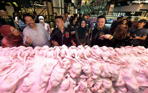 PENYERAHAN ANUGERAH MBR KEPADA ST ROSYAM MART