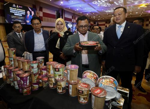 DATUK SERI AMIRUDIN SHARI