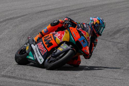 MOTOGP 2024