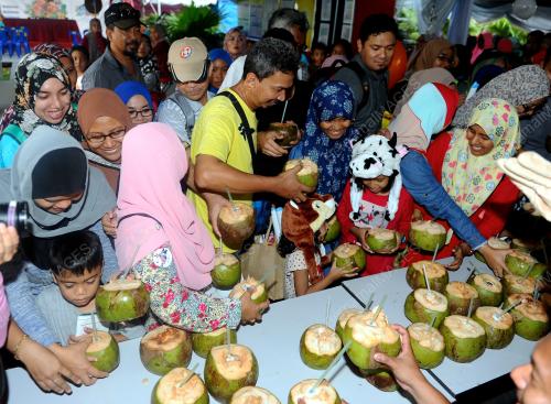 SG24_10122016_KELAPA