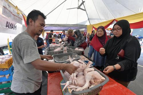 DATUK SERI AMIRUDIN SHARI