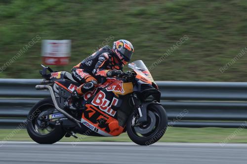 BRAD BINDER