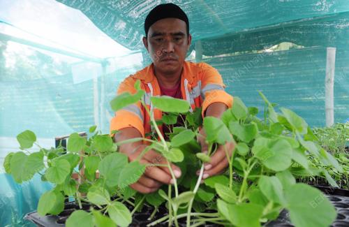 MOHD ROSLI ABDUL RAFAR