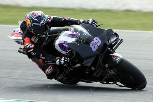 JORGE MARTIN