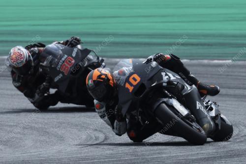 LUCA MARINI