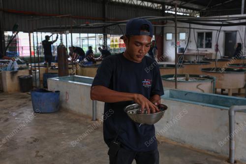 PROGRAM SANTAI AKUAKULTUR