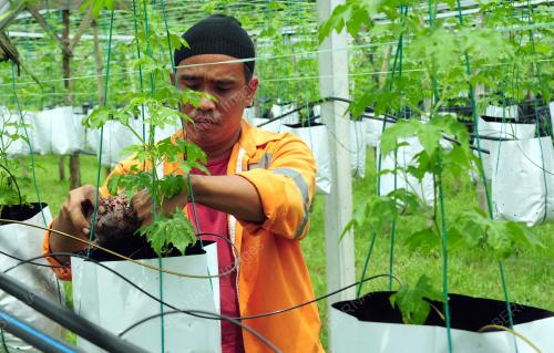 MOHD ROSLI ABDUL RAFAR