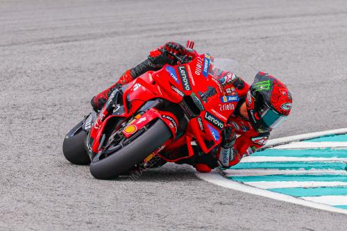 MOTOGP 2024