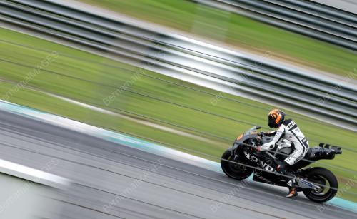LUCA MARINI