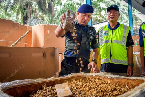 DATUK MOHAMAD SUZRIN MOHAMAD RODHI