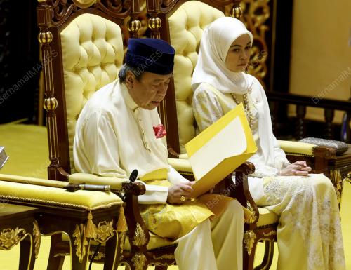 SULTAN SHARAFUDDIN IDRIS SHAH