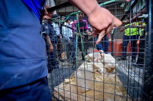 OPERASI BERSEPADU PREMIS PERNIAGAAN WARGA ASING