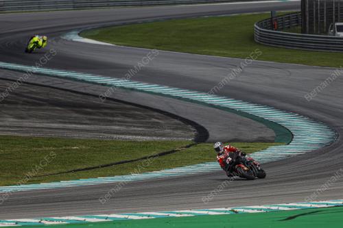ENEA BASTIANINI