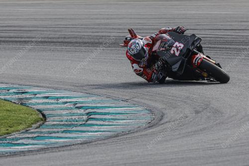 ENEA BASTIANINI