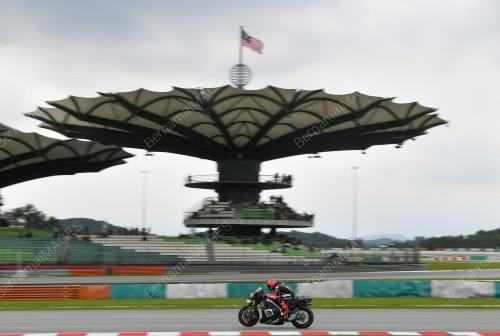 ALEX RINS